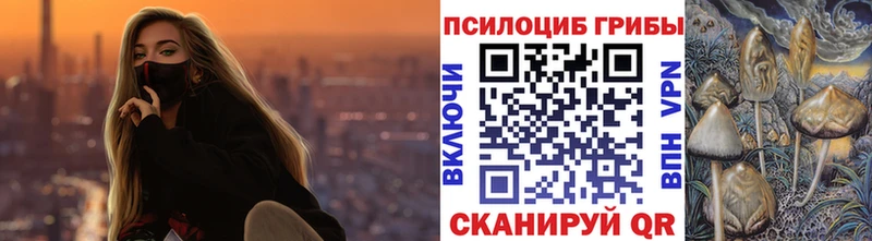 Псилоцибиновые грибы мухоморы где купить Приморск