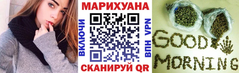 закладка Приморск Каннабис гибрид